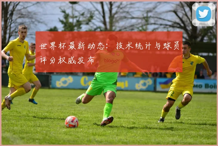世界杯最新动态：技术统计与球员评分权威发布