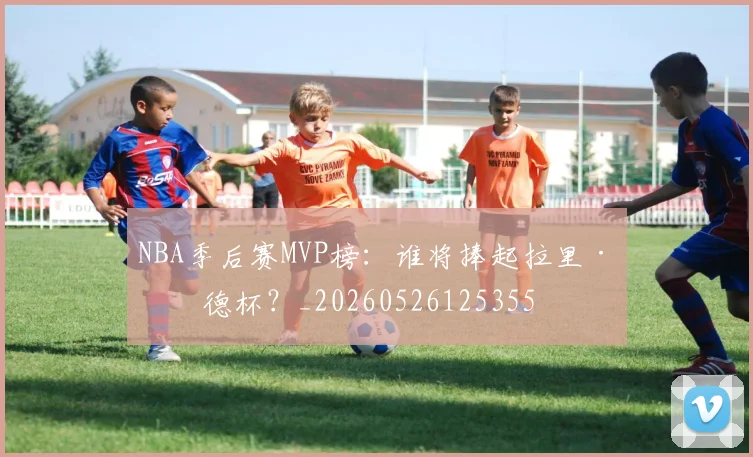 NBA季后赛MVP榜：谁将捧起拉里·伯德杯？_20260526125355