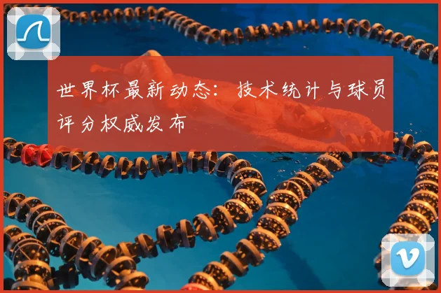 世界杯最新动态：技术统计与球员评分权威发布