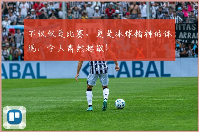 不仅仅是比赛，更是冰球精神的体现，令人肃然起敬！