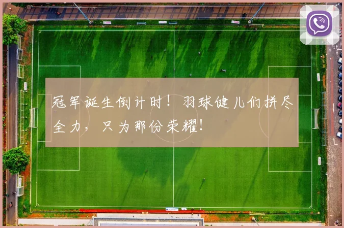 冠军诞生倒计时!羽球健儿们拼尽全力,只为那份荣耀!