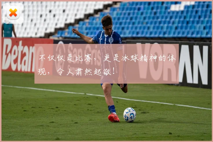不仅仅是比赛,更是冰球精神的体现,令人肃然起敬!