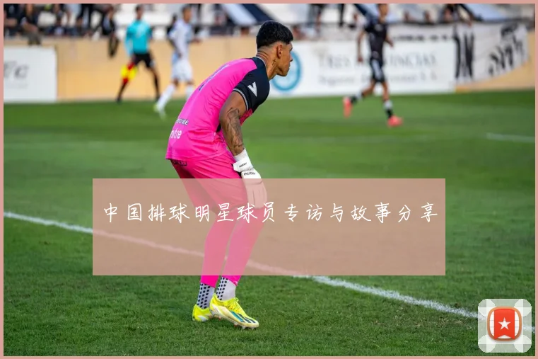 中国排球明星球员专访与故事分享